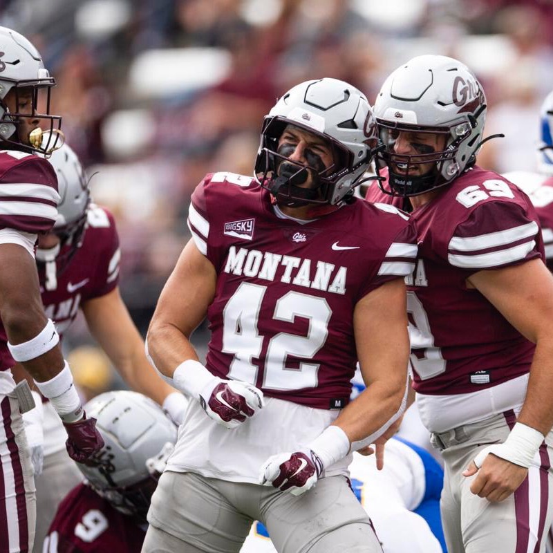 griz.eth Ethereum Name Service (ENS and .eth domain) PFP