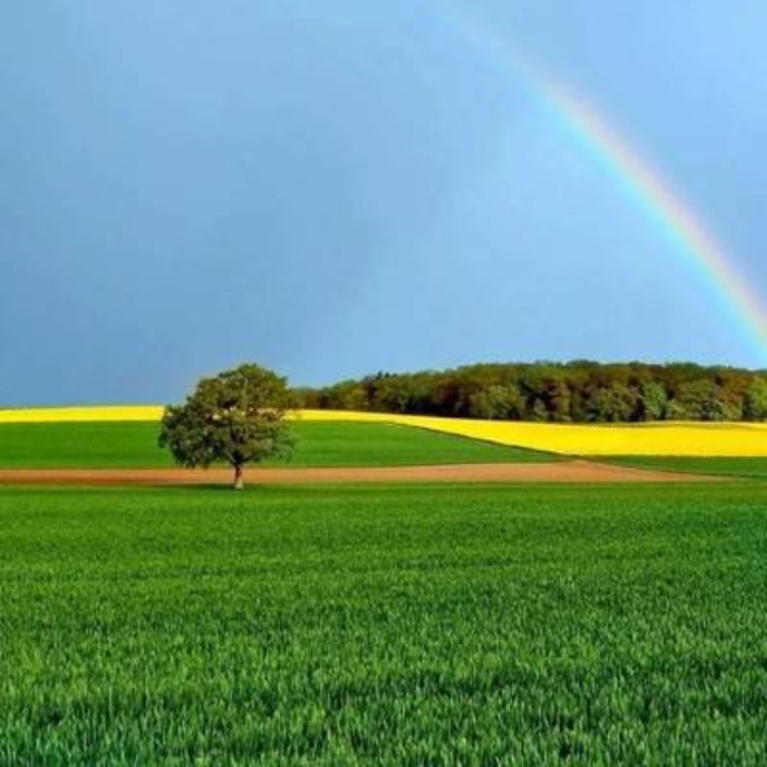 gtrhrjytjrtghhgfgdfggewrf.eth Ethereum Name Service (ENS and .eth domain) PFP