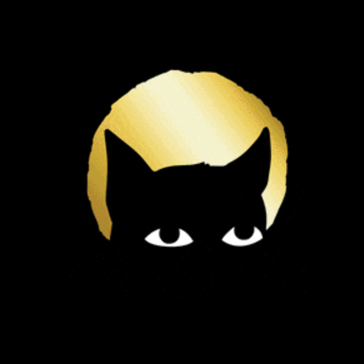 guttercat.eth Ethereum Name Service (ENS and .eth domain) PFP