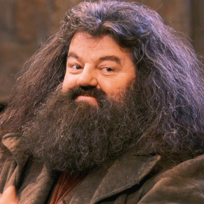 hagrid.eth Ethereum Name Service (ENS and .eth domain) PFP