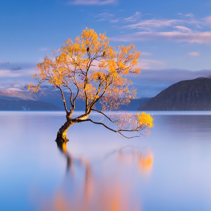 hakijaki.eth Ethereum Name Service (ENS and .eth domain) PFP