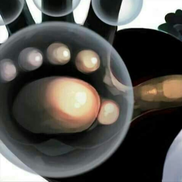 handsofliberation.eth Ethereum Name Service (ENS and .eth domain) PFP