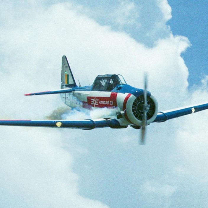 hangar33.eth Ethereum Name Service (ENS and .eth domain) PFP