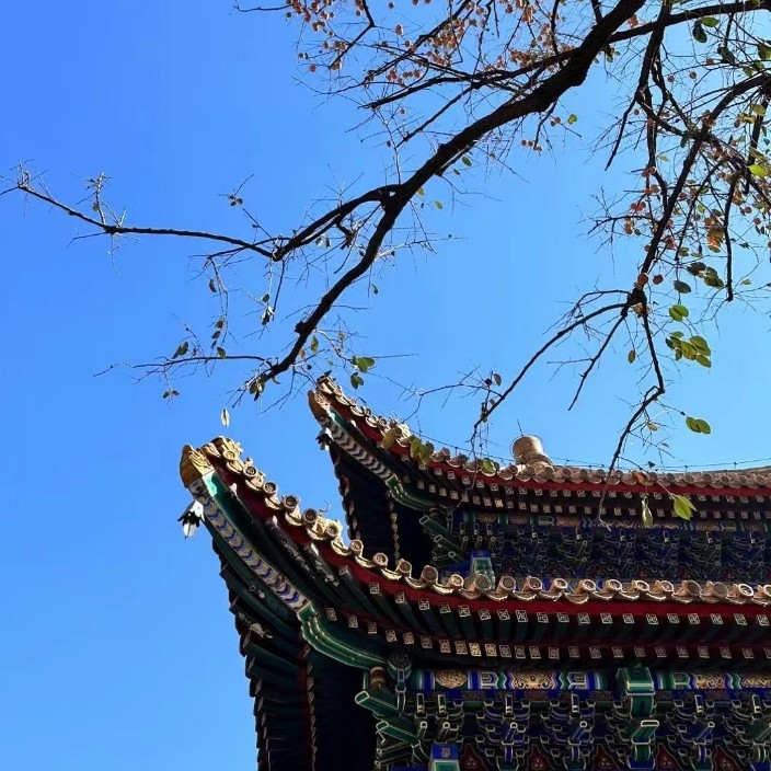 hbworld.eth Ethereum Name Service (ENS and .eth domain) PFP