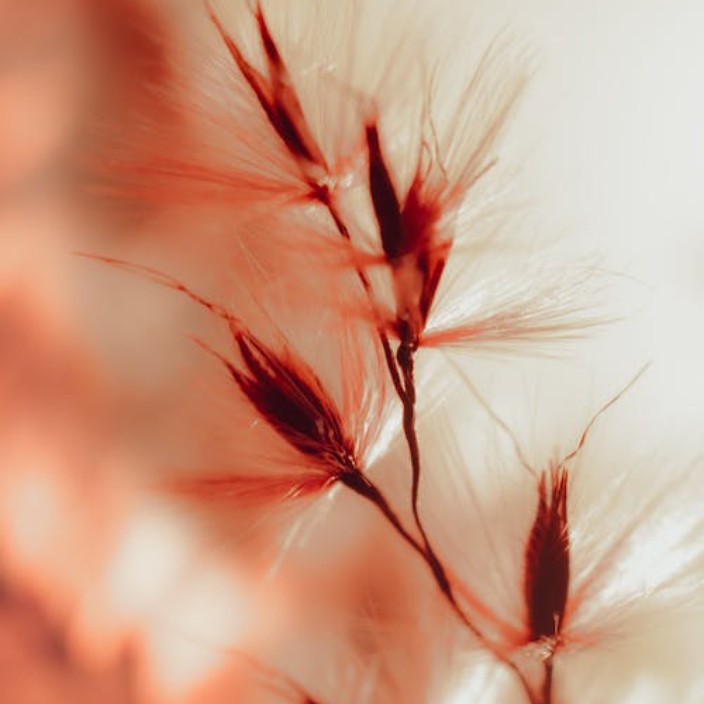 helab.eth Ethereum Name Service (ENS and .eth domain) PFP