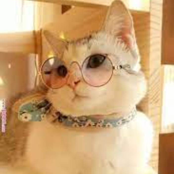 helia2000baya.eth Ethereum Name Service (ENS and .eth domain) PFP