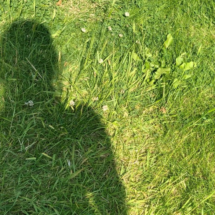 searchhandles99 (searchhandles99.lens) Lens social identity (.lens handle) PFP