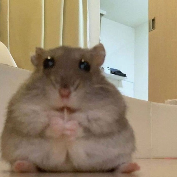 heraldof.eth Ethereum Name Service (ENS and .eth domain) PFP