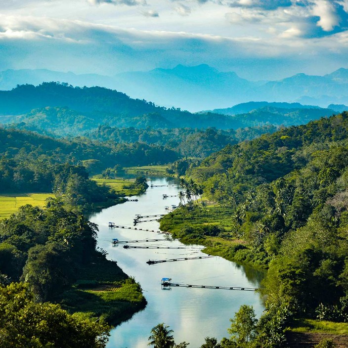 hesgertin.eth Ethereum Name Service (ENS and .eth domain) PFP