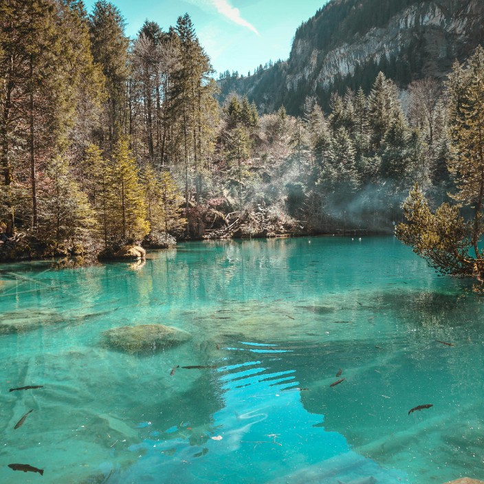 heyishenxiaomo.eth Ethereum Name Service (ENS and .eth domain) PFP