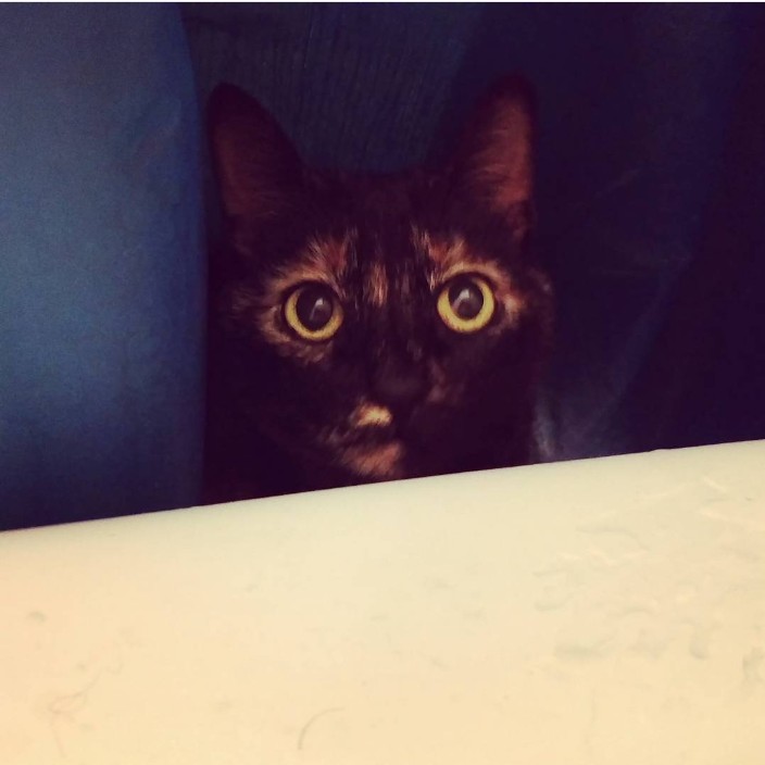 hihocherio.eth Ethereum Name Service (ENS and .eth domain) PFP