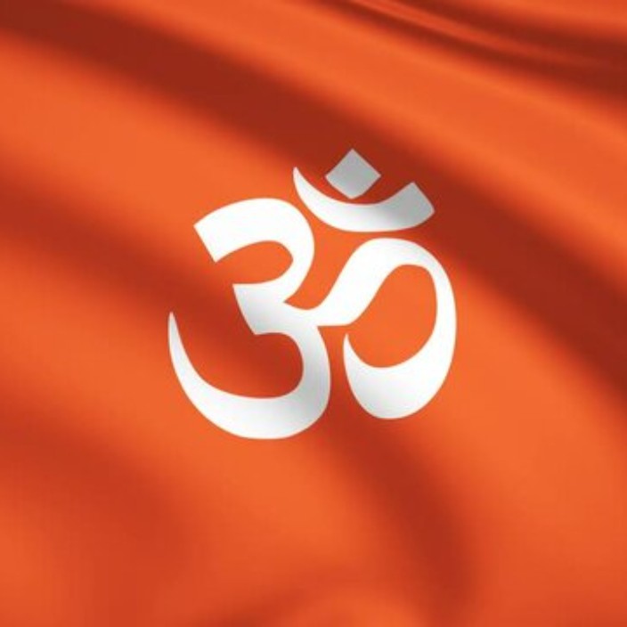 hindutva.eth Ethereum Name Service (ENS and .eth domain) PFP