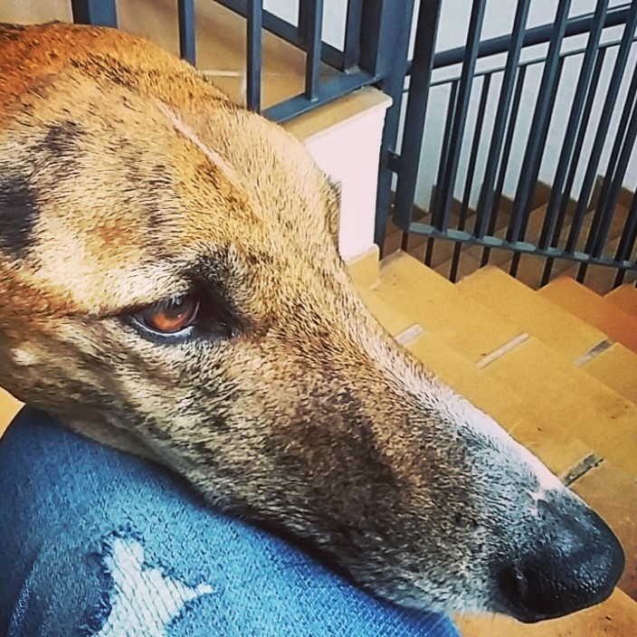 hipolitop.eth Ethereum Name Service (ENS and .eth domain) PFP