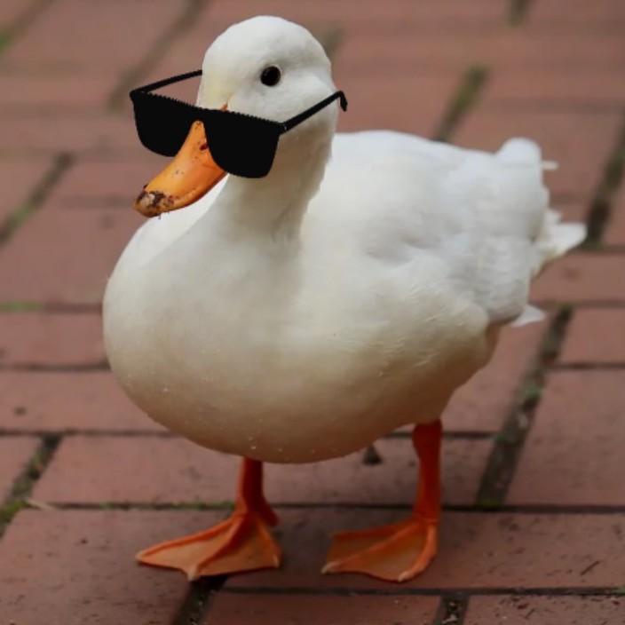 honker.eth Ethereum Name Service (ENS and .eth domain) PFP