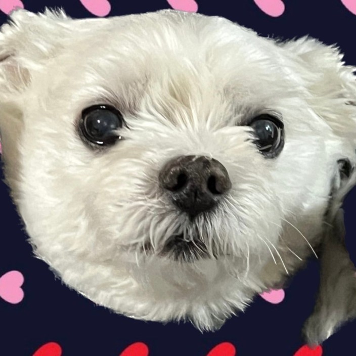 hoonnam.eth Ethereum Name Service (ENS and .eth domain) PFP