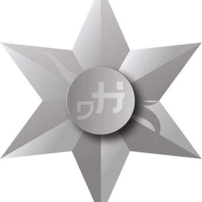 hoshiholder.eth Ethereum Name Service (ENS and .eth domain) PFP