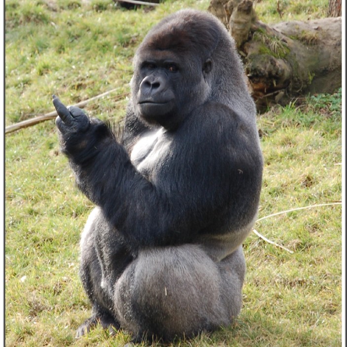 howtomake1million.eth Ethereum Name Service (ENS and .eth domain) PFP