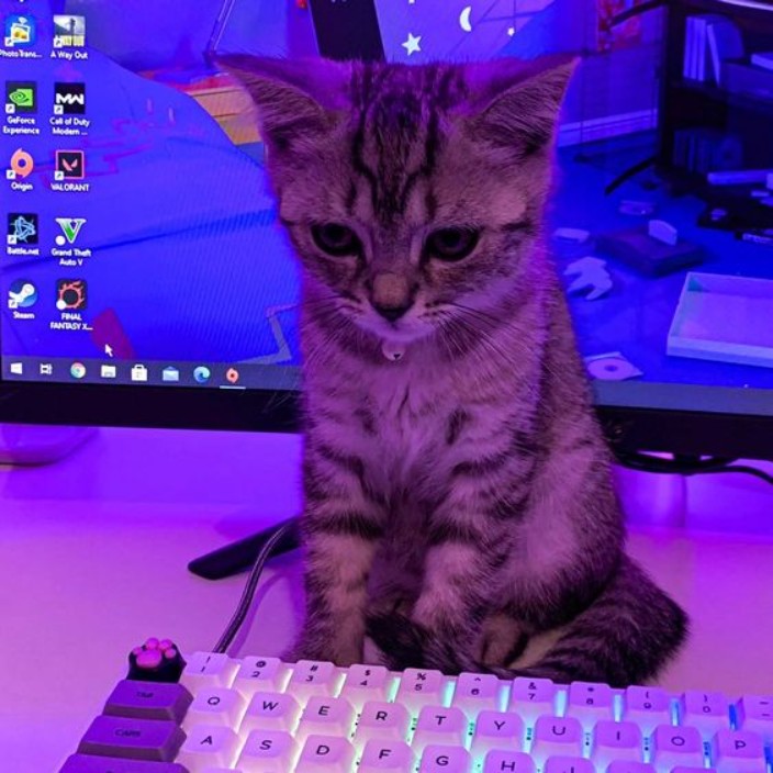 hwinkyy.eth Ethereum Name Service (ENS and .eth domain) PFP