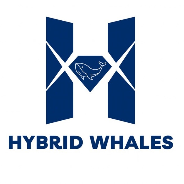 hybridwhales.eth Ethereum Name Service (ENS and .eth domain) PFP