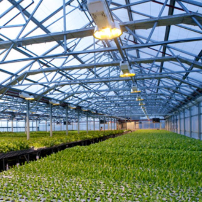 hydroponics.eth Ethereum Name Service (ENS and .eth domain) PFP