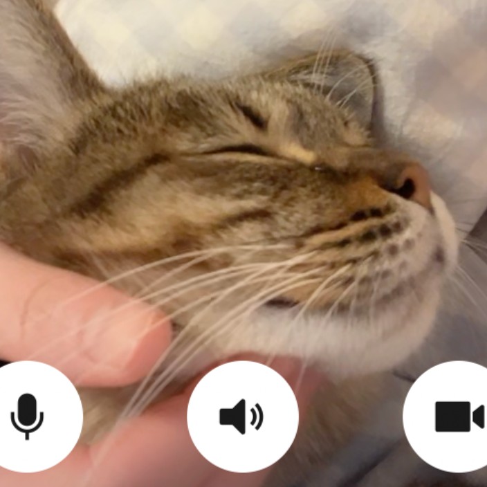 hywang.eth Ethereum Name Service (ENS and .eth domain) PFP