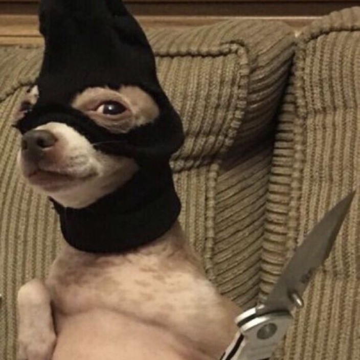 i-fap-to-memecoins.eth Ethereum Name Service (ENS and .eth domain) PFP