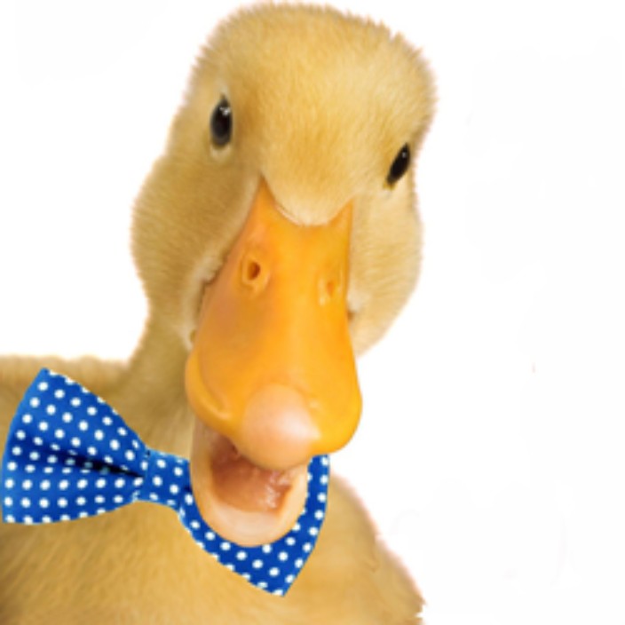 idbooze.eth Ethereum Name Service (ENS and .eth domain) PFP