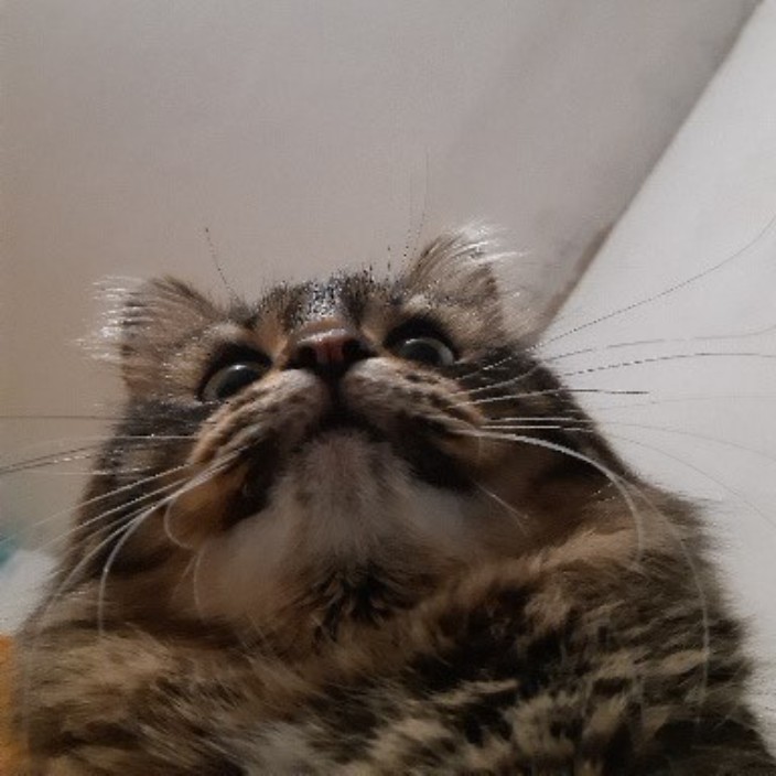 ilshi.eth Ethereum Name Service (ENS and .eth domain) PFP