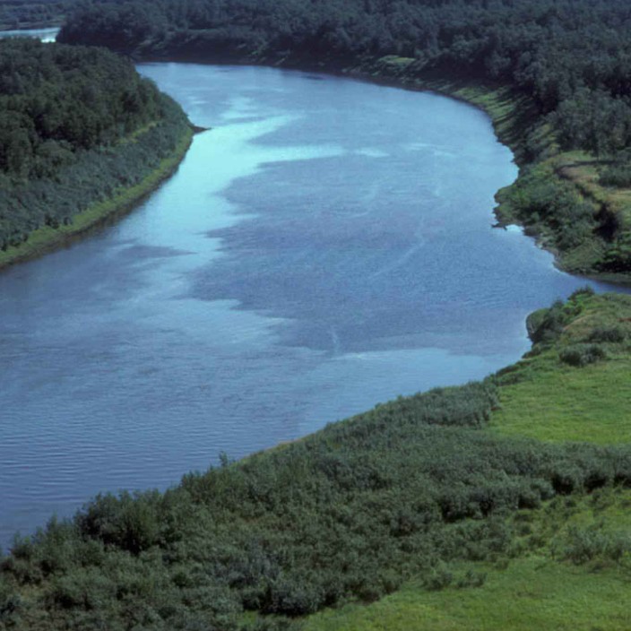 innoko.eth Ethereum Name Service (ENS and .eth domain) PFP