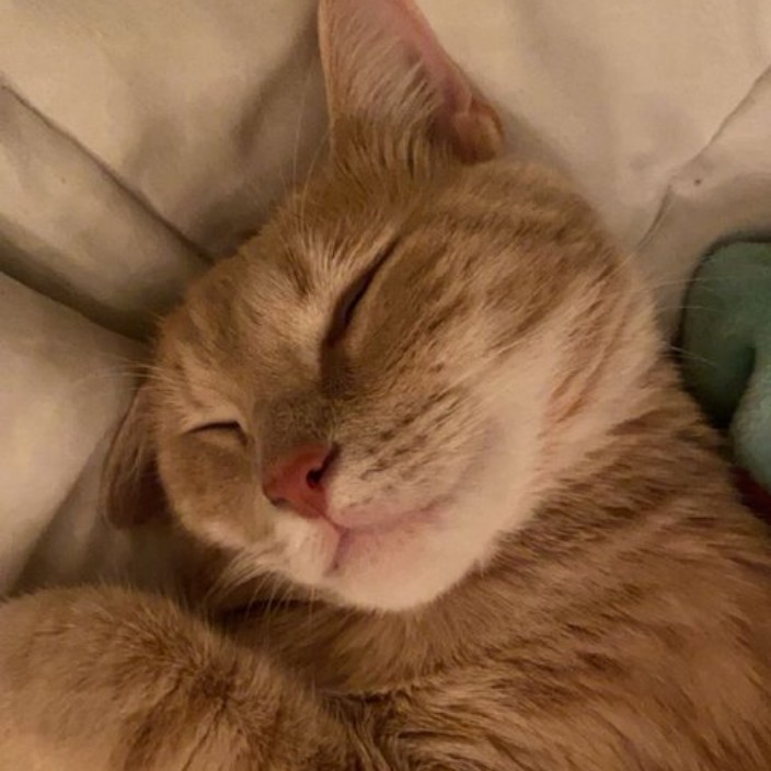 insdead.base.eth Basenames (.base.eth domains) based on ENS PFP