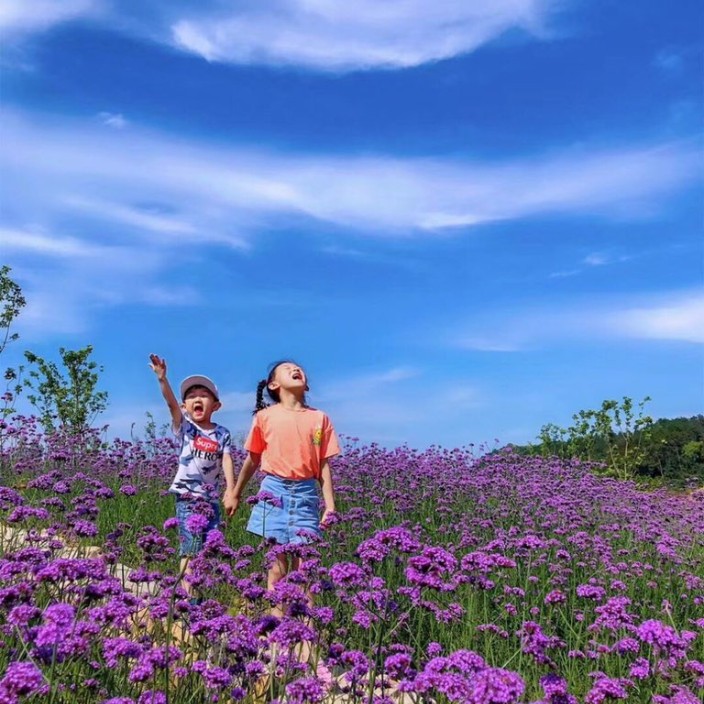 isaacwang9055.eth Ethereum Name Service (ENS and .eth domain) PFP