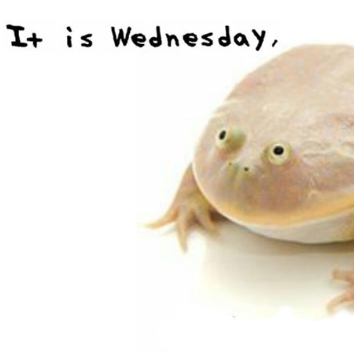 itiswednesday.eth Ethereum Name Service (ENS and .eth domain) PFP