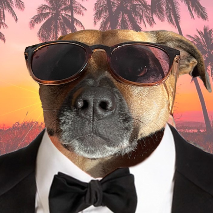 itsnoproblem.eth Ethereum Name Service (ENS and .eth domain) PFP