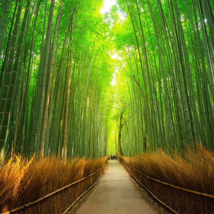 ivannes.eth Ethereum Name Service (ENS and .eth domain) PFP