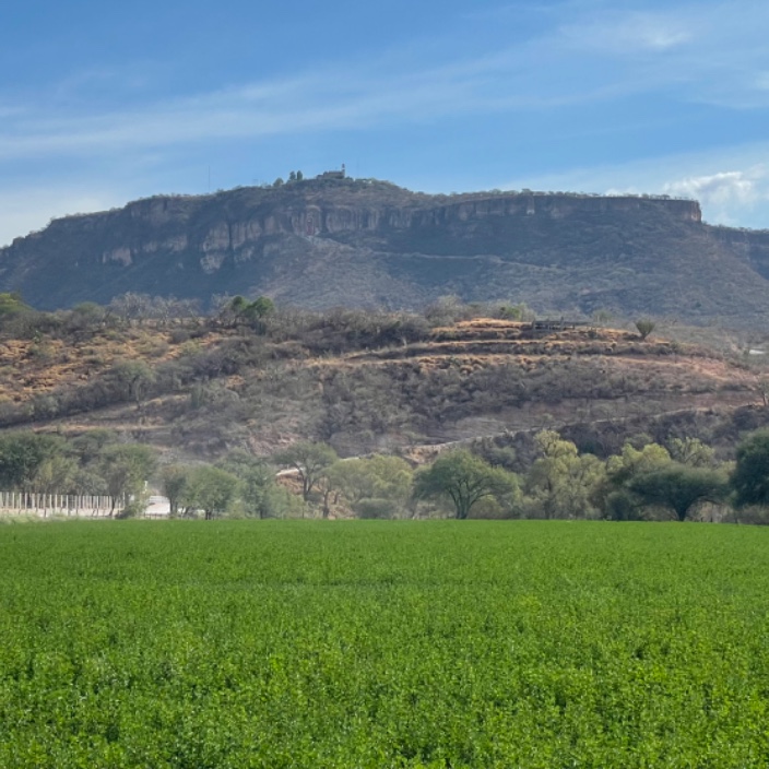 jalpa.eth Ethereum Name Service (ENS and .eth domain) PFP