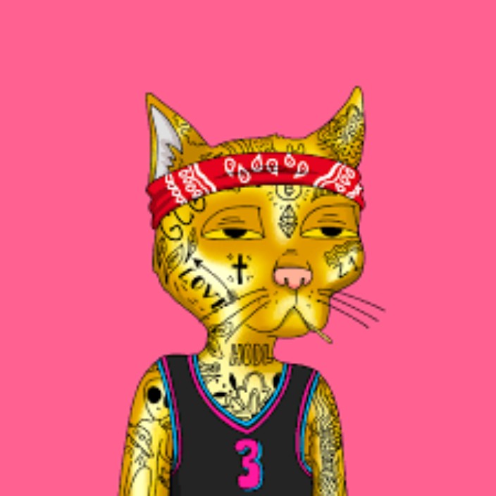 jamaljohnson (jamaljohnson.lens) Lens social identity (.lens handle) PFP