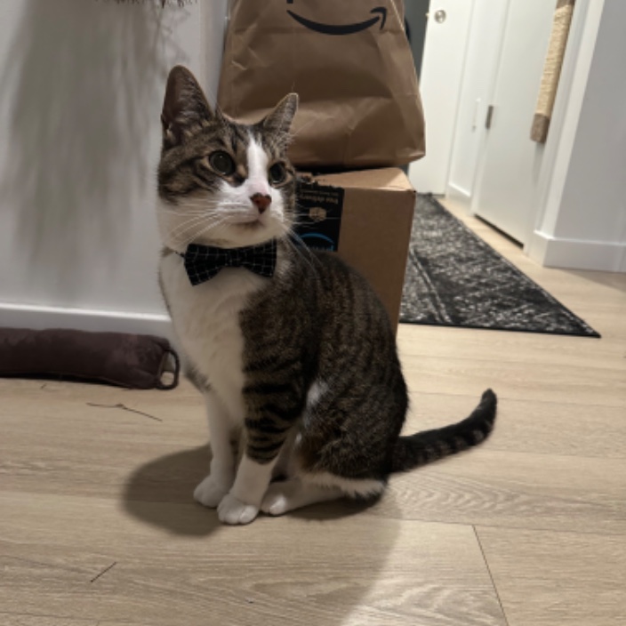 jdeverin.eth Ethereum Name Service (ENS and .eth domain) PFP