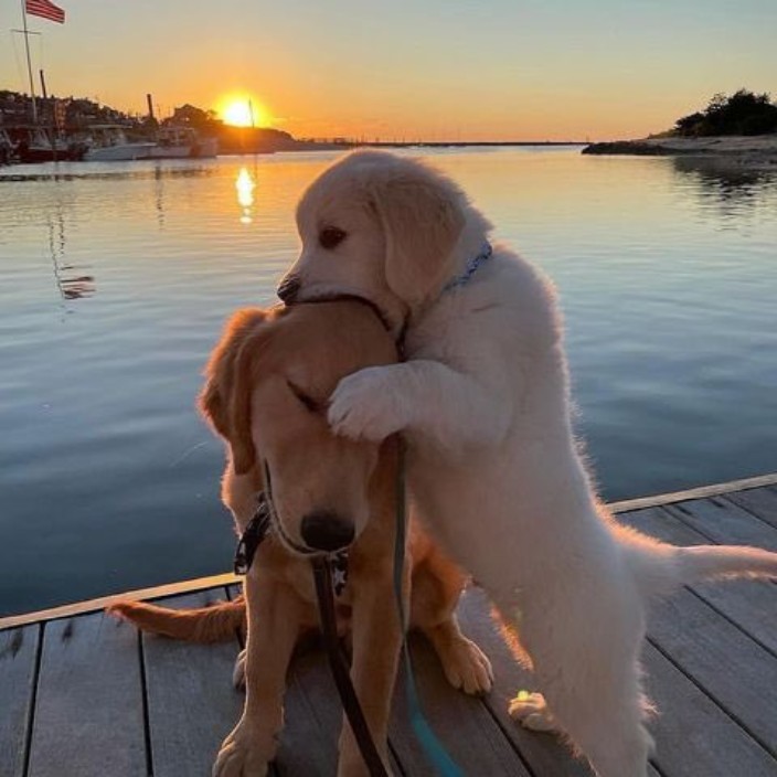 jiachenniandongyue.eth Ethereum Name Service (ENS and .eth domain) PFP