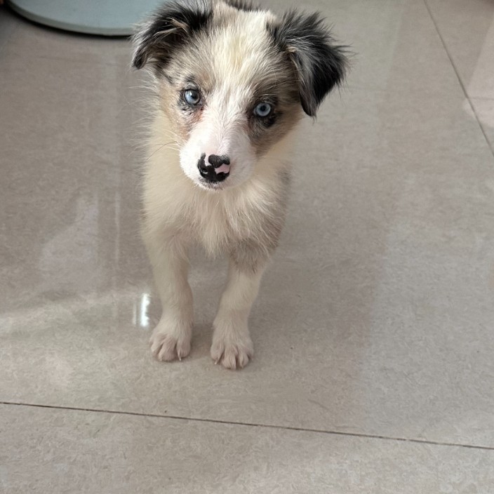 jiguangbi.base.eth Basenames (.base.eth domains) based on ENS PFP