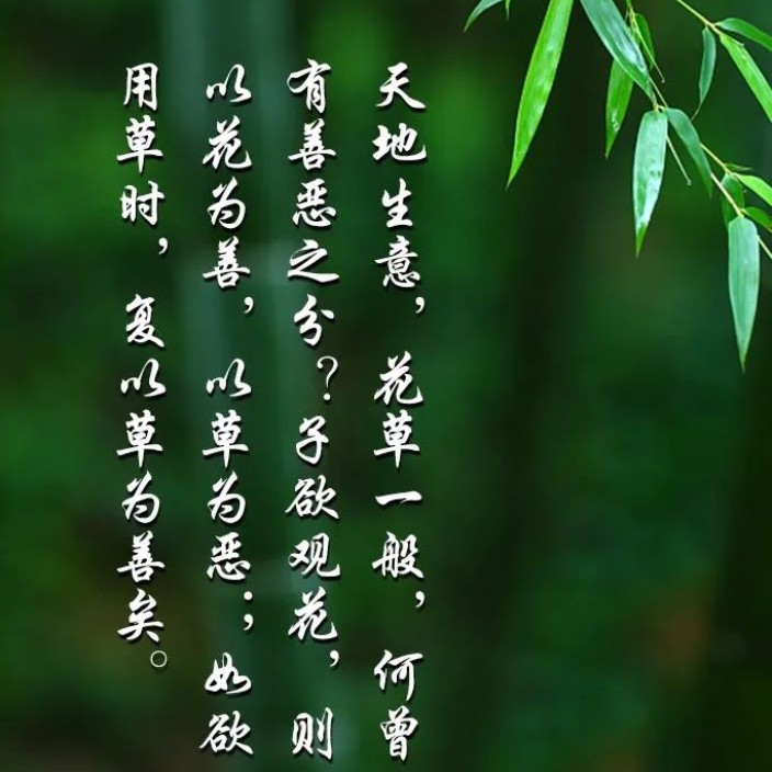 jingsheng.eth Ethereum Name Service (ENS and .eth domain) PFP