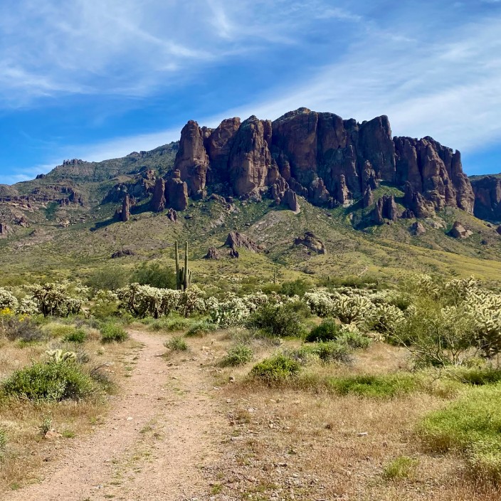 jmjaw.eth Ethereum Name Service (ENS and .eth domain) PFP