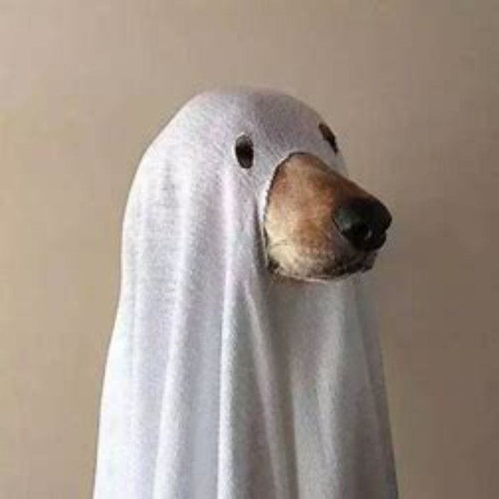 joeheaton.eth Ethereum Name Service (ENS and .eth domain) PFP