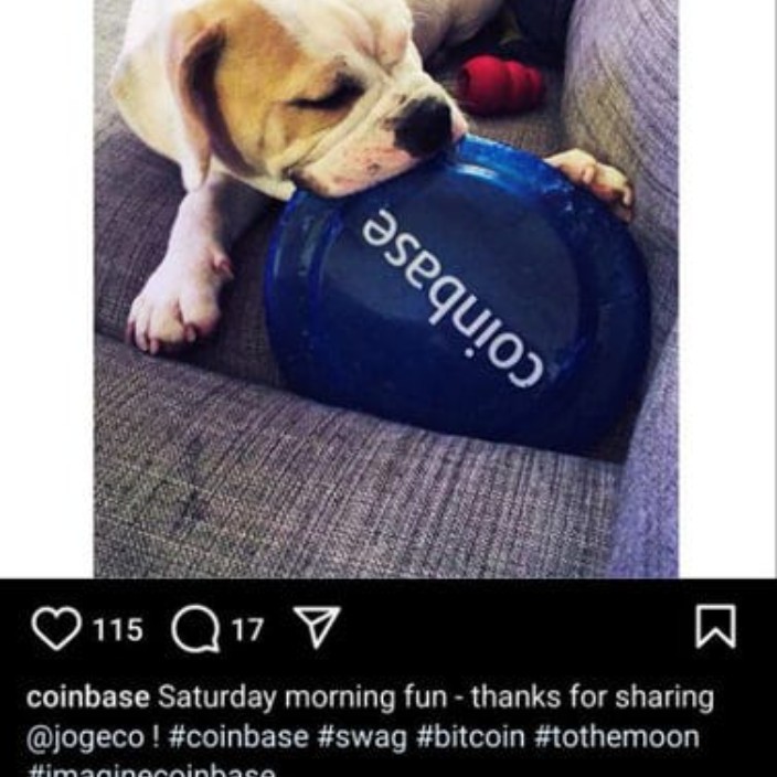 jogeco.eth Ethereum Name Service (ENS and .eth domain) PFP