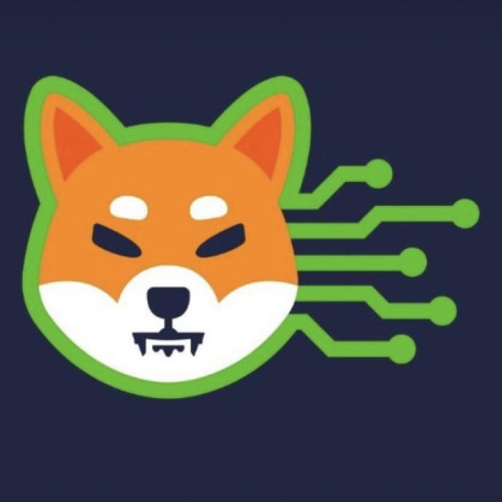 K9 Finance DAO Development (k9dev.eth) Ethereum Name Service (ENS and .eth domain) PFP