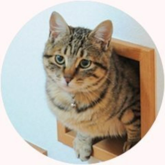 kabosumamafamily.eth Ethereum Name Service (ENS and .eth domain) PFP