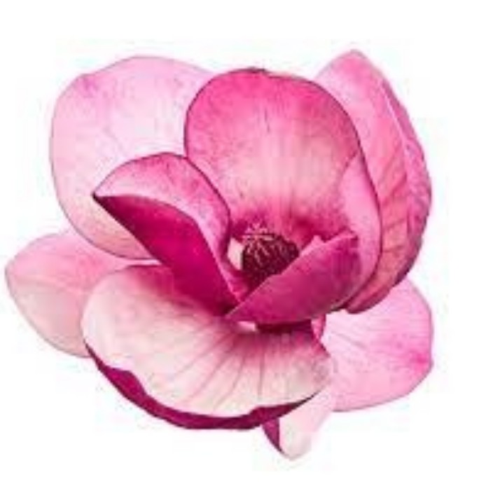 kachlami.base.eth Basenames (.base.eth domains) based on ENS PFP