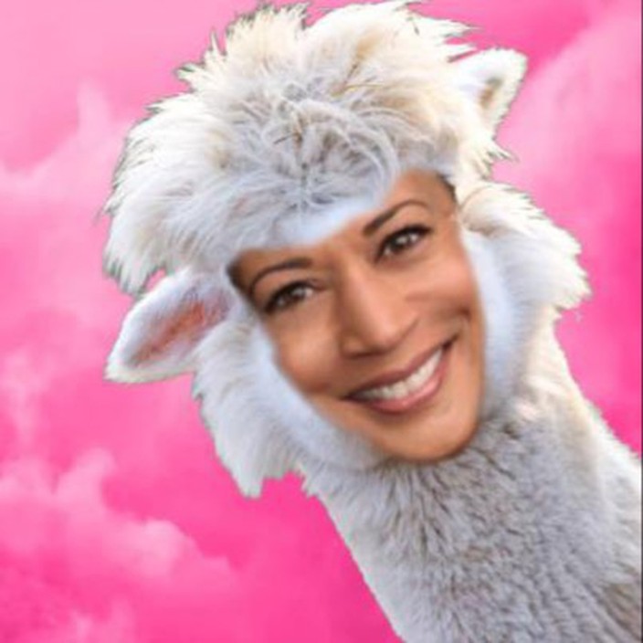 kallamaharris.eth Ethereum Name Service (ENS and .eth domain) PFP