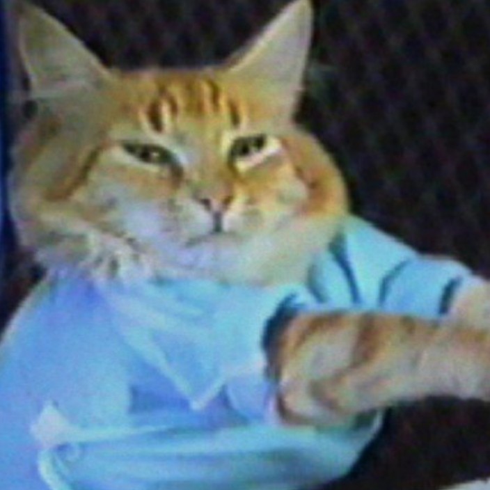 keyboardcat.eth Ethereum Name Service (ENS and .eth domain) PFP