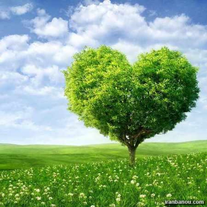 khosroanjam.eth Ethereum Name Service (ENS and .eth domain) PFP