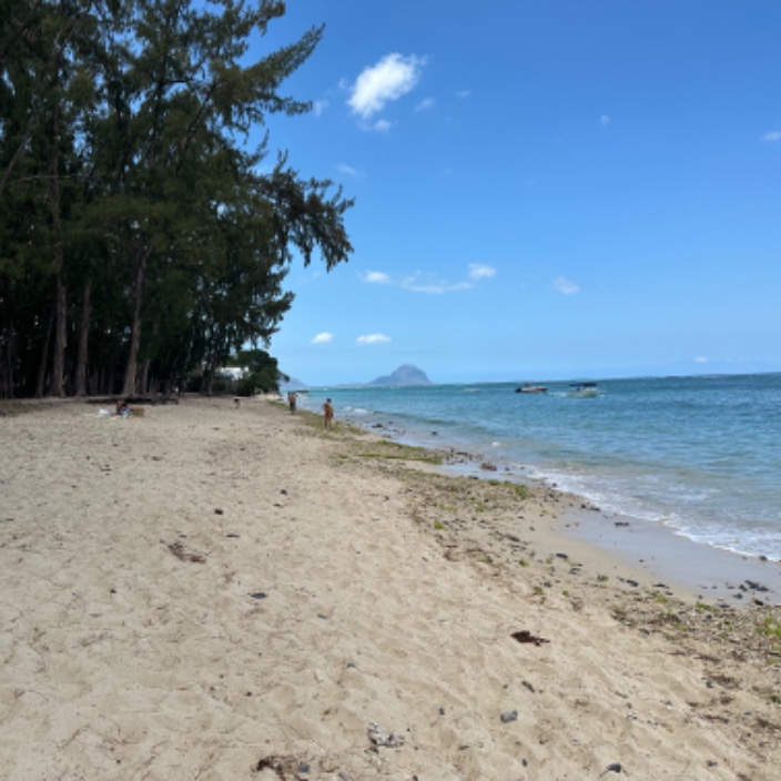 khoyratty.eth Ethereum Name Service (ENS and .eth domain) PFP